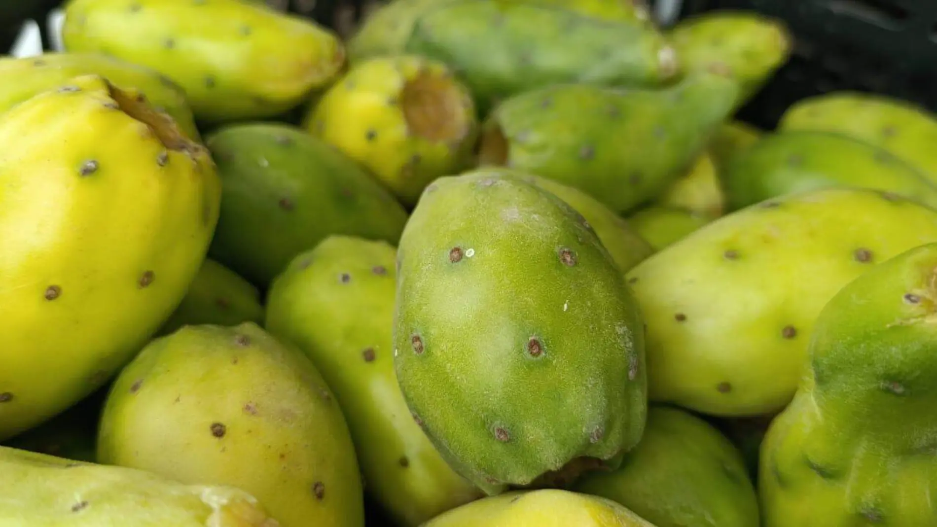 Tunas-Frutas-Comida